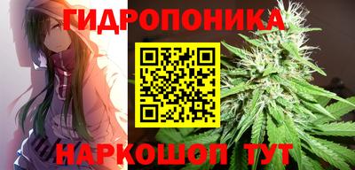 каннабис Ачхой-Мартан