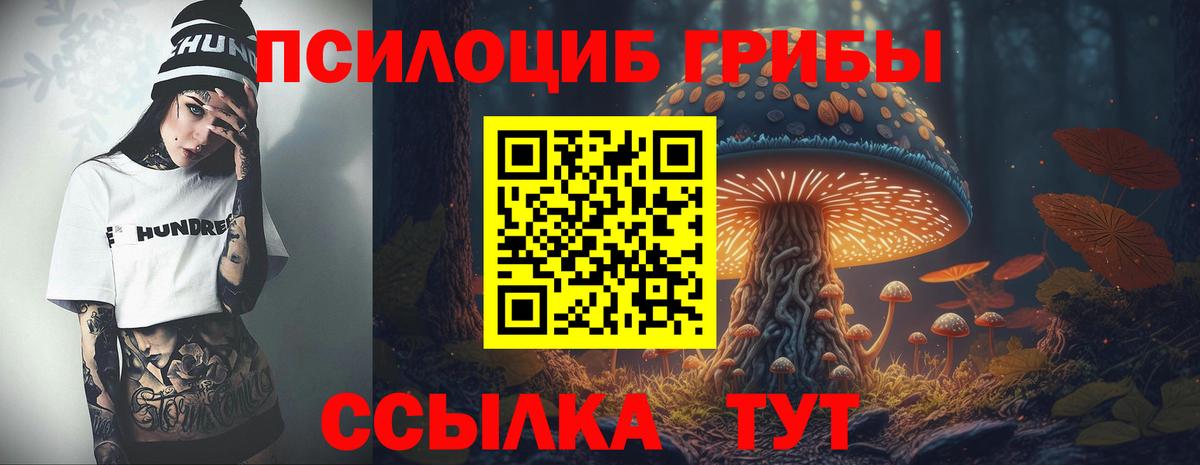 Галлюциногенные грибы Cubensis  Вход с VPN  Белогорск  Псилоцибиновые грибы GOLDEN TEACHER 